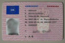 Denmark driving licence