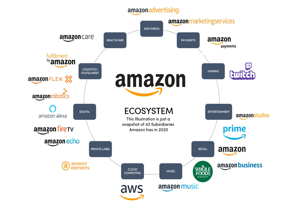 Strategies for Success in Amazon s Ecosystem​