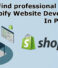 How to Find professional Shopify Website Developers In Pakistan