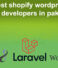 Hire best shopify wordpress php laravel developers in pakistan