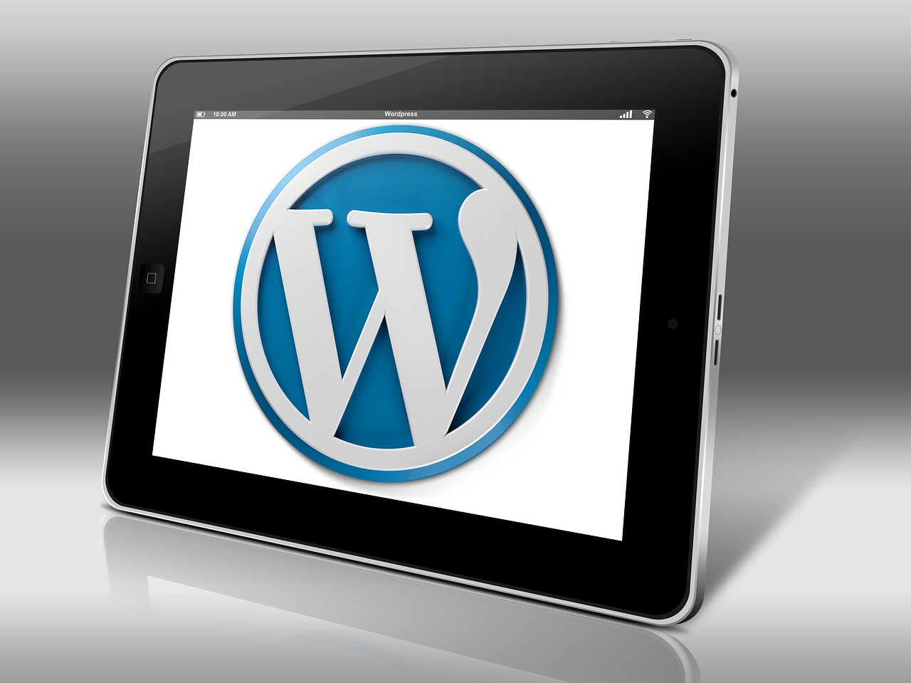 WordPress Development Build a Flexible Website with Pakistani Experts​