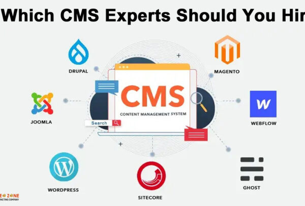 Which CMS Experts Should You Hire