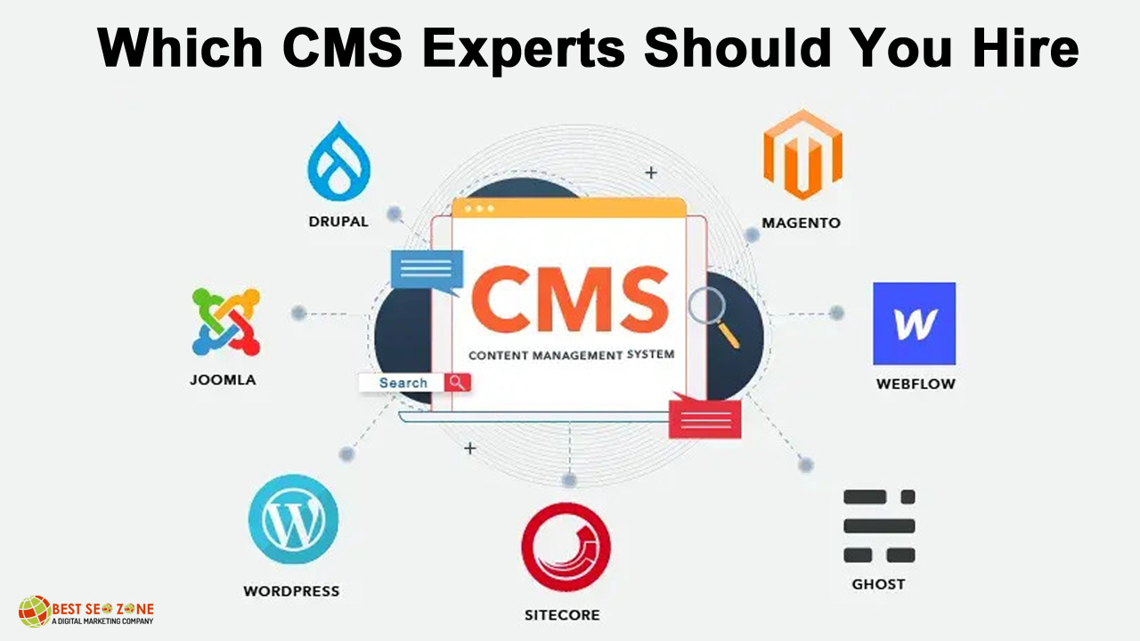 Which CMS Experts Should You Hire